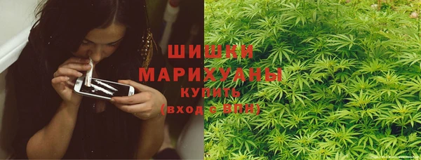 прущие грибы Абдулино