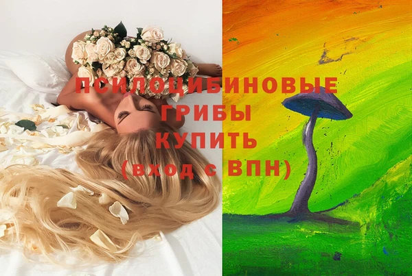 прущие грибы Абдулино