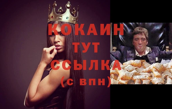 прущие грибы Абдулино