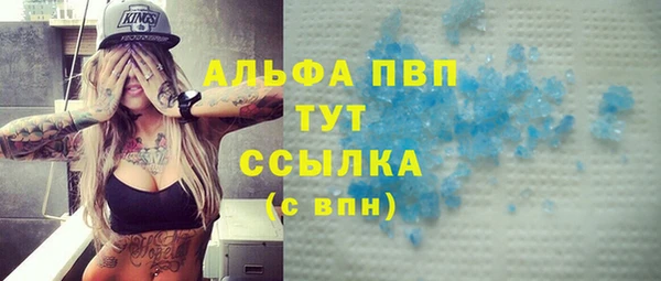 прущие грибы Абдулино